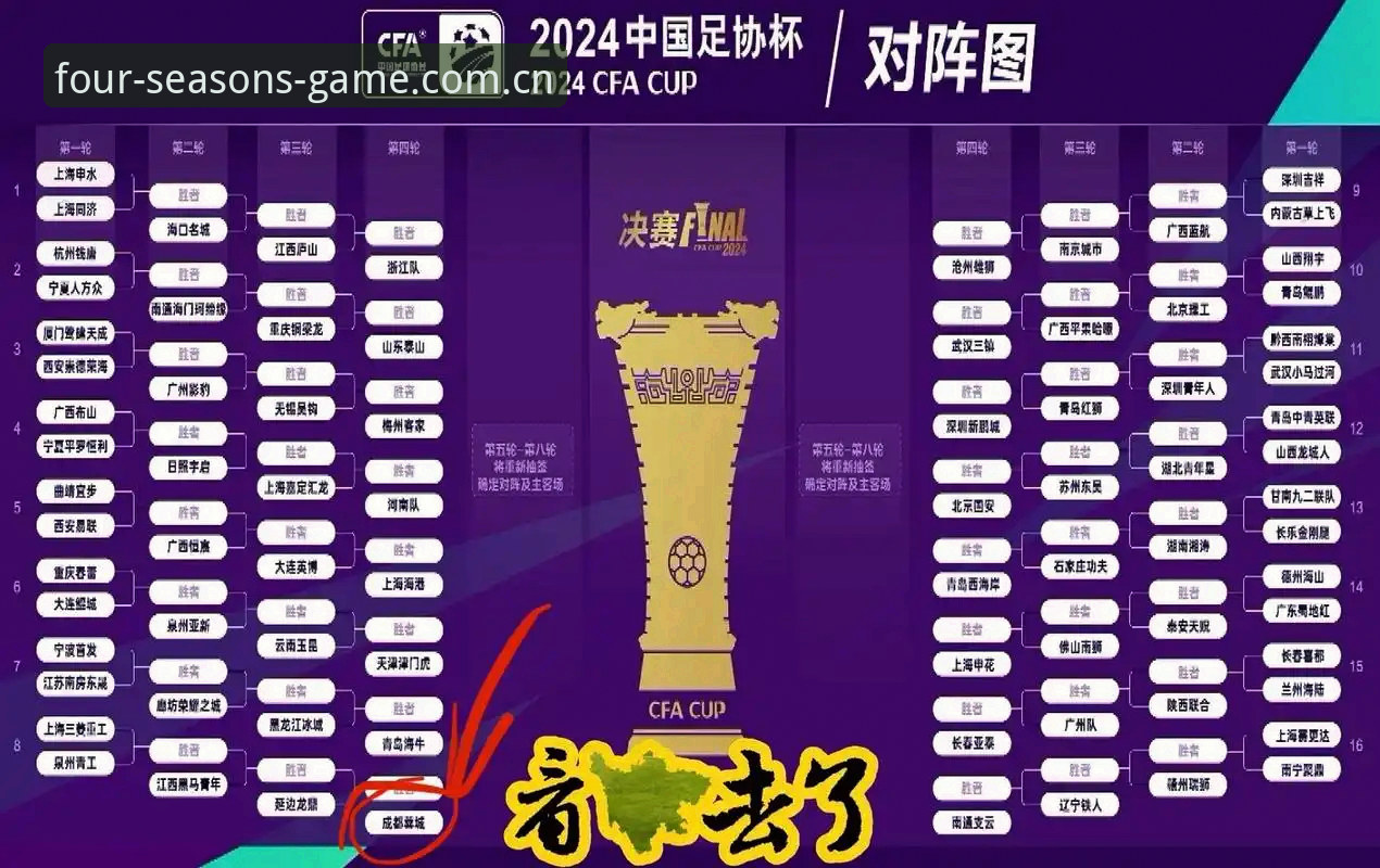 中国足协第三批禁足名单深度解读：一场行业净化与体育精神重塑的完整指南